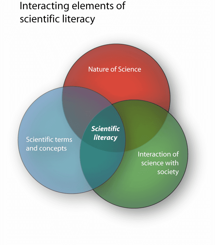 What are the four stages of scientific literacy